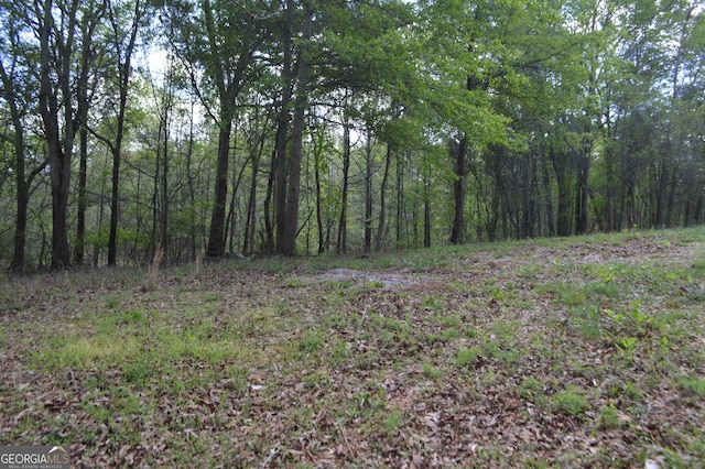 66 Topaz Ln, Royston, GA 30662 - view of nature featuring a forest view