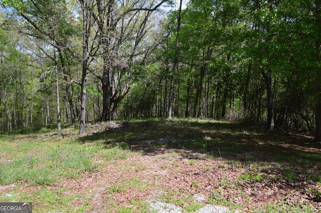 66 Topaz Ln, Royston, GA 30662 - view of local wilderness featuring a view of trees