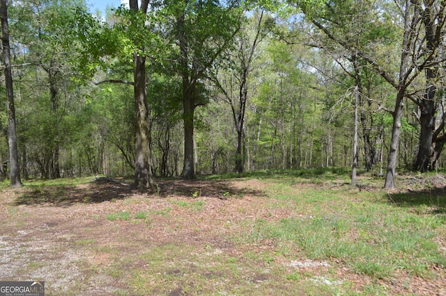 66 Topaz Ln, Royston, GA 30662 - view of nature with a forest view