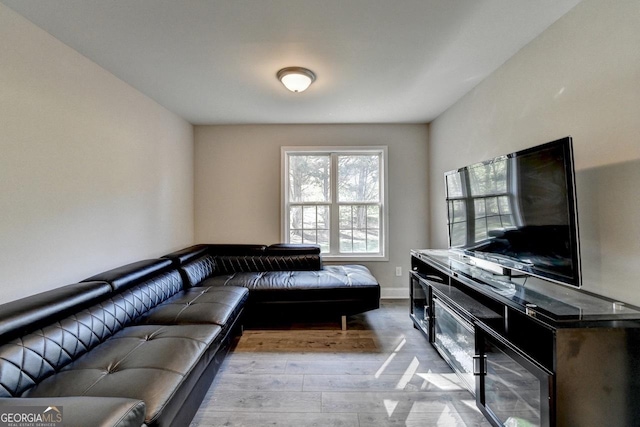 living area featuring baseboards and wood finished floors