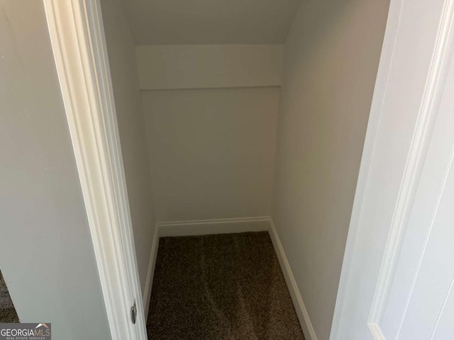 202 Gamel Rd, Dallas, GA 30157 - walk in closet featuring carpet