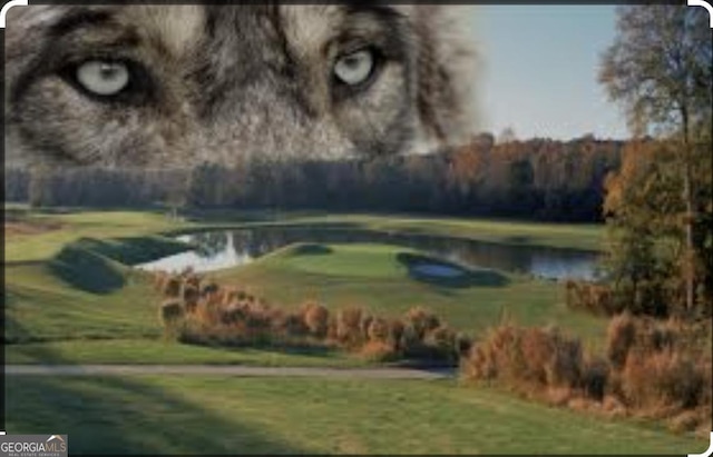 view of property's community with a water view, a yard, and view of golf course