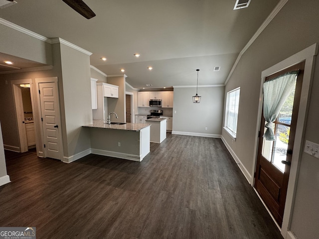 1037 E Doyle St, Toccoa, GA 30577 - kitchen with ornamental molding, stainless steel appliances, a peninsula, white cabinets, and dark wood finished floors