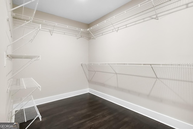 spacious closet featuring dark wood-type flooring