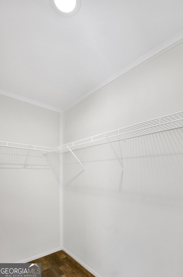 350 Pea Ridge Rd, Ball Ground, GA 30107 - spacious closet featuring dark wood-style flooring