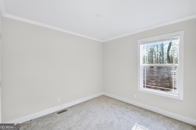 350 Pea Ridge Rd, Ball Ground, GA 30107 - carpeted spare room with ornamental molding and baseboards