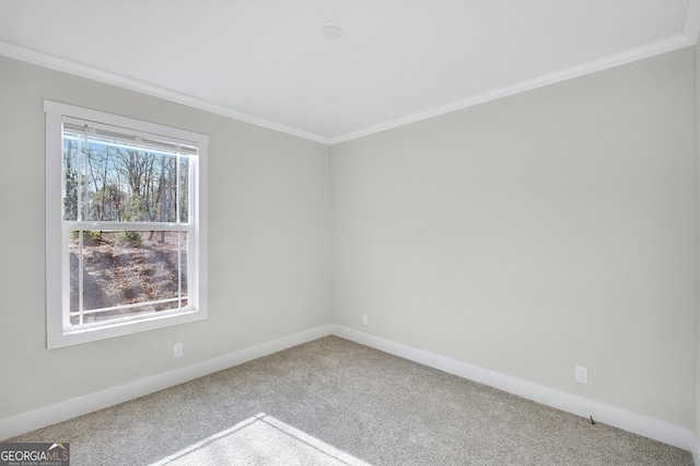 350 Pea Ridge Rd, Ball Ground, GA 30107 - empty room with carpet, crown molding, and baseboards