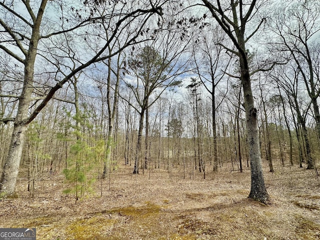 view of nature with a view of trees
