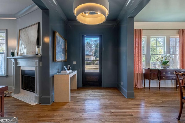 doorway featuring ornamental molding, plenty of natural light, wood finished floors, and a fireplace with flush hearth