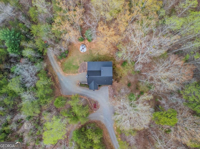view of front of property with a chimney and metal roof