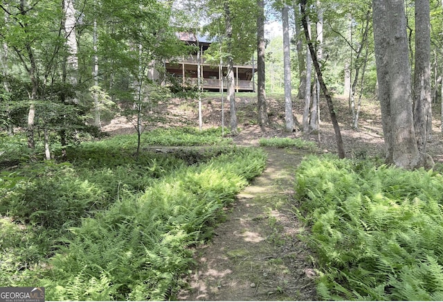 398 Dancing Trees Trl Unit 361, 362, Morganton, GA 30560 - view of yard with a deck