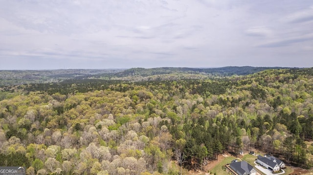 mountain view featuring a forest view