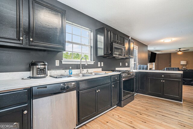 4180 W Stubbs Rd, College Park, GA 30349 - kitchen featuring a sink, a peninsula, light wood finished floors, dark cabinetry, and stainless steel appliances