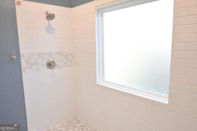 191 Fairview Oak Trl, Dallas, GA 30157 - full bathroom featuring a tile shower and plenty of natural light