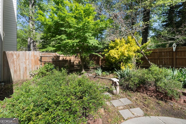 view of yard featuring fence private yard