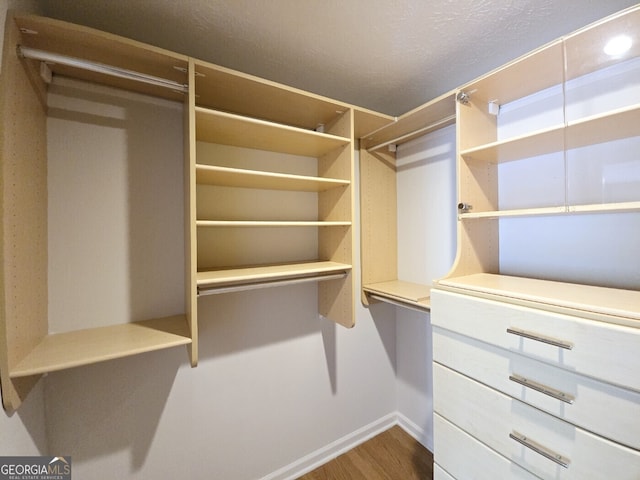 spacious closet featuring dark wood finished floors