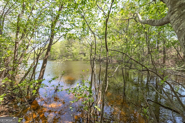 100 N Stewart Ln, Griffin, GA 30224 - property view of water featuring a forest view