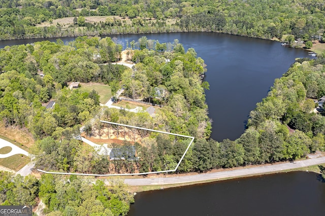 100 N Stewart Ln, Griffin, GA 30224 - bird's eye view with a wooded view and a water view