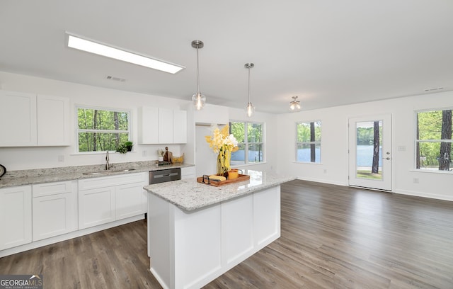 100 N Stewart Ln, Griffin, GA 30224 - kitchen with stainless steel dishwasher, a wealth of natural light, visible vents, a sink, and dark wood-style floors