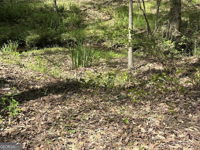 5026 Daniel Mill Rd, Winston, GA 30187 - view of local wilderness