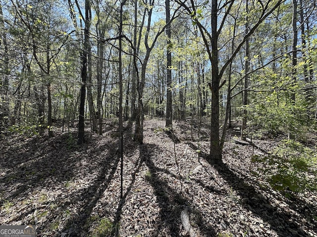 5026 Daniel Mill Rd, Winston, GA 30187 - view of wooded area
