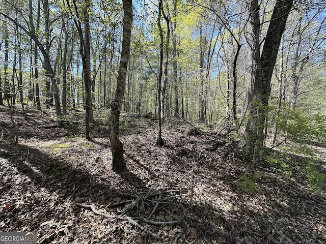 5026 Daniel Mill Rd, Winston, GA 30187 - view of undeveloped land