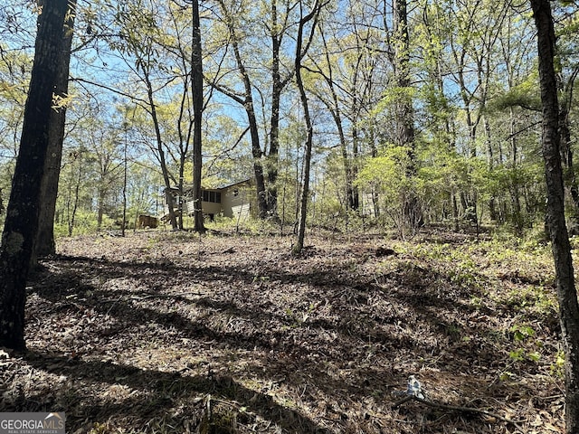 5026 Daniel Mill Rd, Winston, GA 30187 - view of wooded area