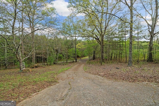 5026 Daniel Mill Rd, Winston, GA 30187 - view of street with a wooded view