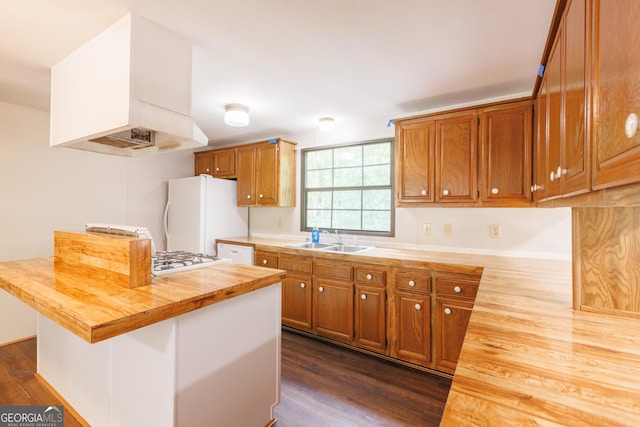 kitchen featuring white appliances, wooden counters, dark wood-style flooring, and a sink