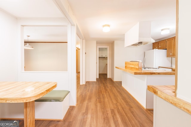 hallway featuring light wood-style floors
