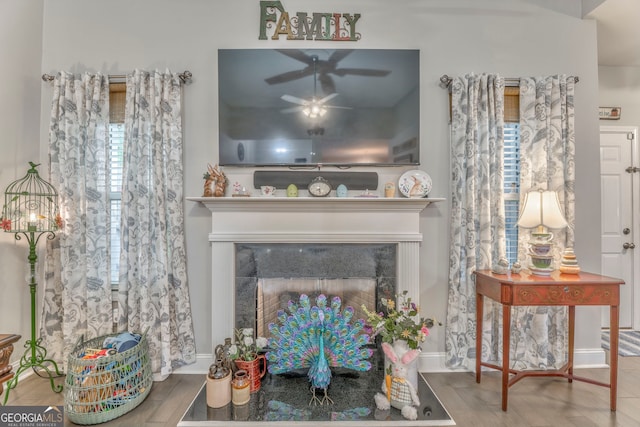11 Bush Arbor Pl SW, Rome, GA 30165 - details with ceiling fan, baseboards, wood finished floors, and a fireplace