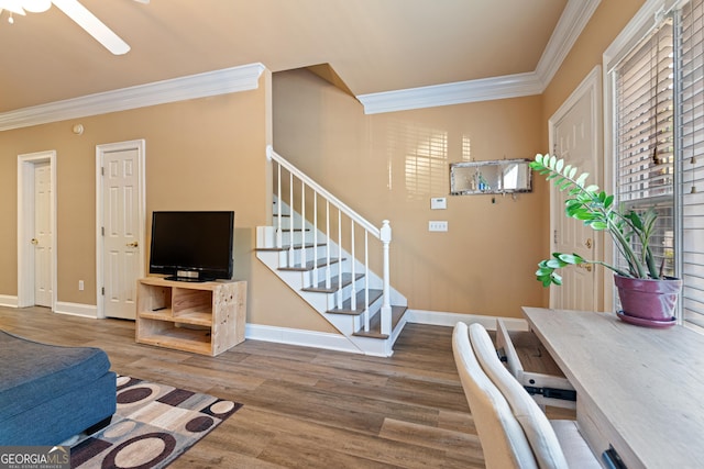 office featuring crown molding, wood finished floors, baseboards, and a ceiling fan