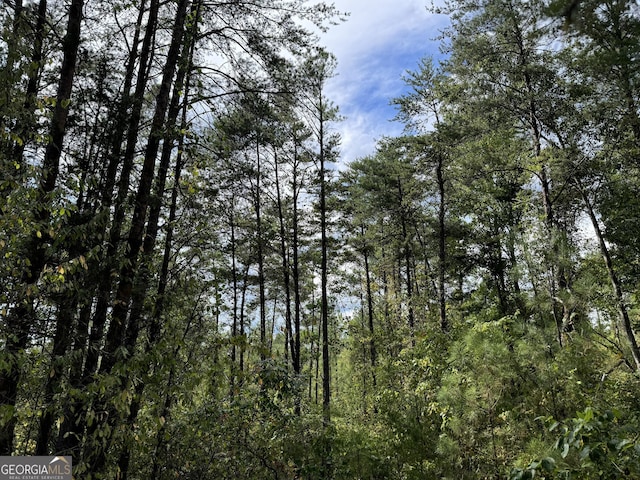 08 Adams Rd, Bankston, AL 35542