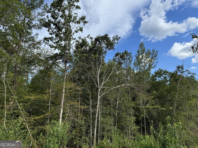 08 Adams Rd, Bankston, AL 35542