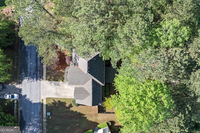 bird's eye view