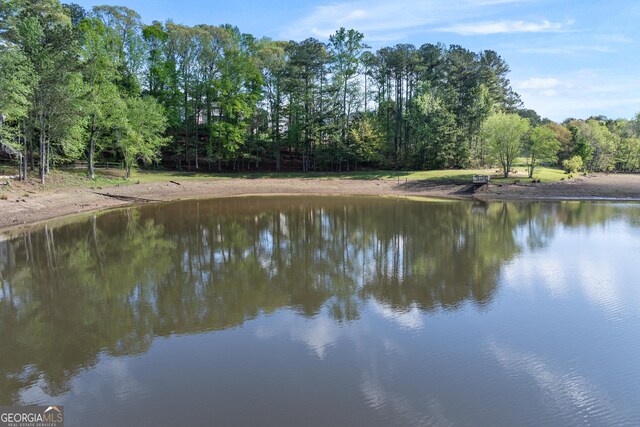 1035 Bridle Path Dr, Lawrenceville, GA 30045 - water view