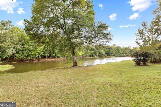 12 Arbor Shrs, Newnan, GA 30265 - view of green lawn featuring a water view