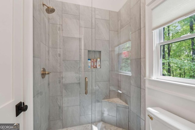 448 Golden Bear Pass, Dahlonega, GA 30533 - bathroom with a shower stall and toilet