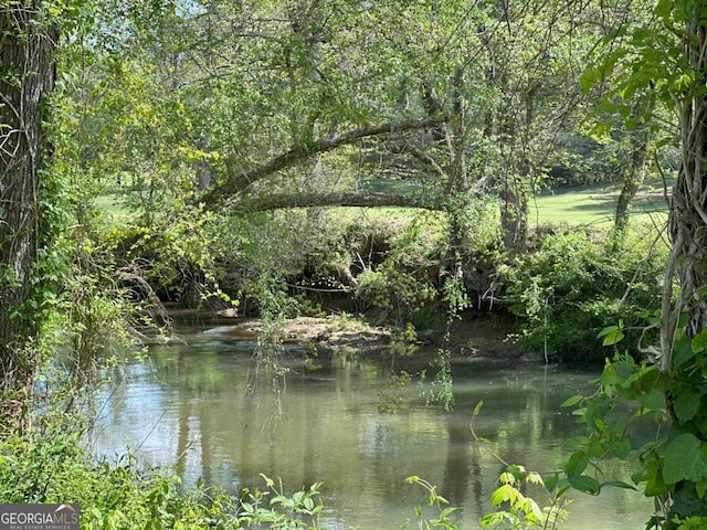 448 Golden Bear Pass, Dahlonega, GA 30533 - water view