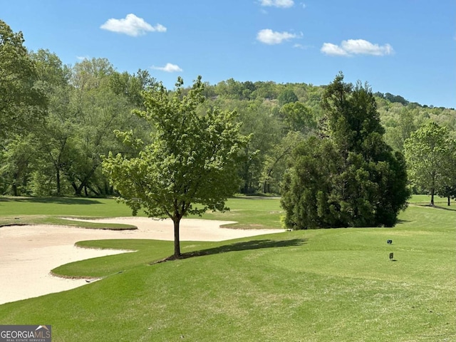 448 Golden Bear Pass, Dahlonega, GA 30533 - view of home's community featuring a yard and view of golf course