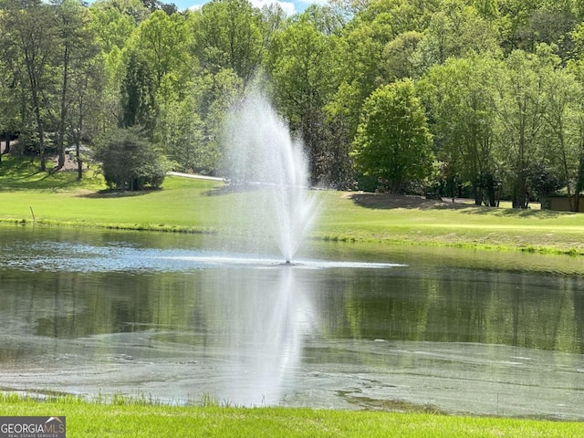 448 Golden Bear Pass, Dahlonega, GA 30533 - water view