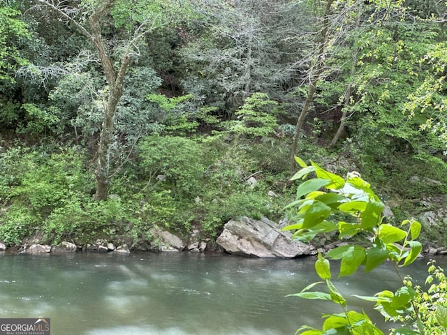 448 Golden Bear Pass, Dahlonega, GA 30533 - water view