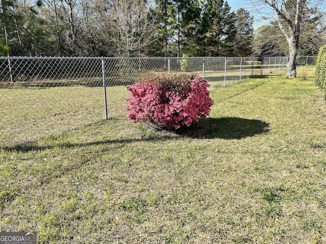 408 Railroad Ave, East Dublin, GA 31027 - view of yard