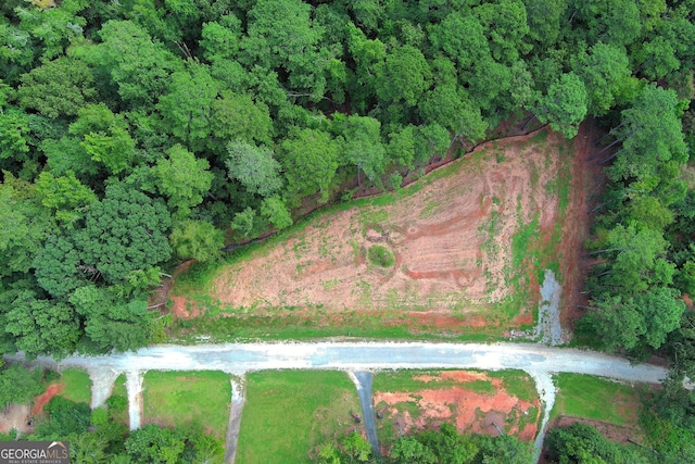 1590 Arrowhead Rd, Greensboro, GA 30642