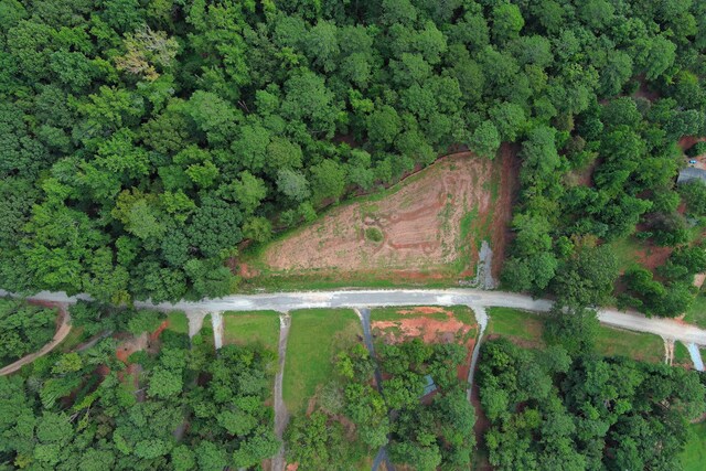 1590 Arrowhead Rd, Greensboro, GA 30642