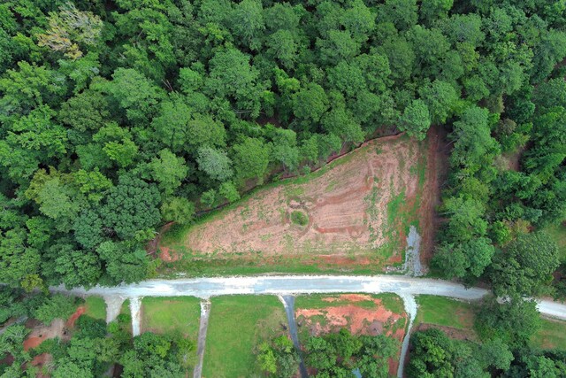 1590 Arrowhead Rd, Greensboro, GA 30642