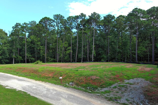 1590 Arrowhead Rd, Greensboro, GA 30642