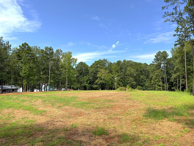 1590 Arrowhead Rd, Greensboro, GA 30642