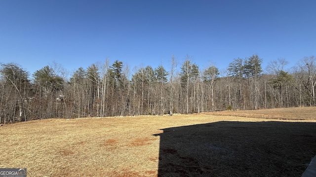 view of yard featuring a wooded view