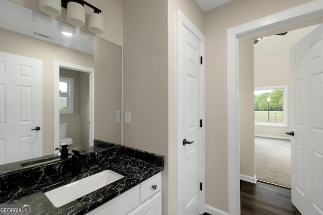 6048 Golf View Xing, Locust Grove, GA 30248 - bathroom with vanity, wood finished floors, and healthy amount of natural light